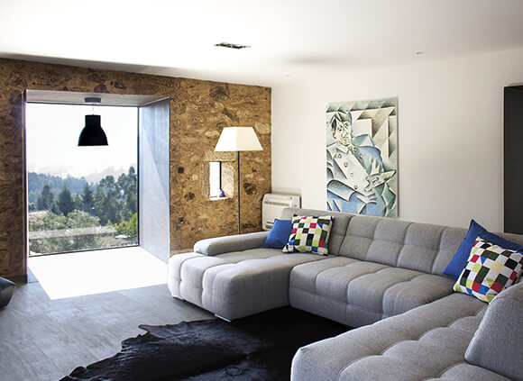 Living Room Large Window