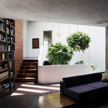 Cozy Home Library