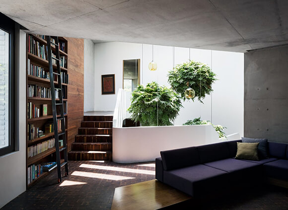 Cozy Home Library