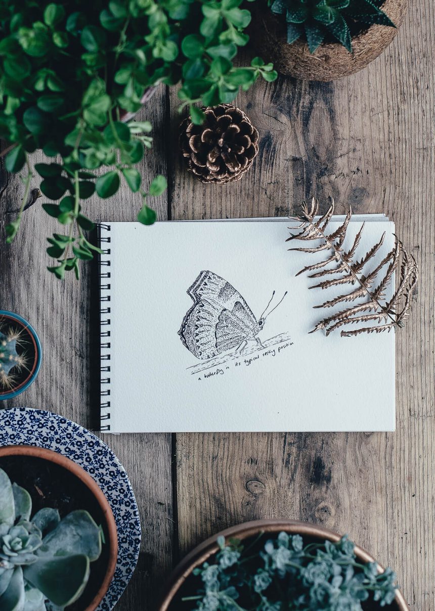 I Swear I Saw This: Drawings in Notebooks