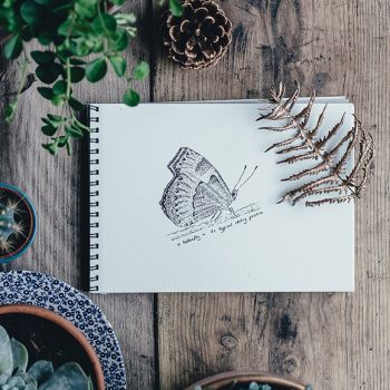I Swear I Saw This: Drawings in Notebooks