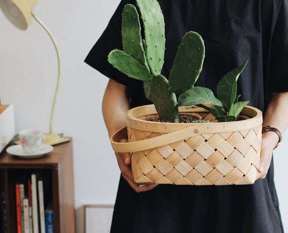 Take Care Of Your House This Spring With Flowers