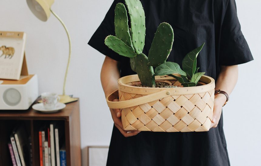 Take Care Of Your House This Spring With Flowers