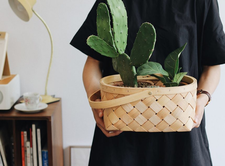 Take Care Of Your House This Spring With Flowers
