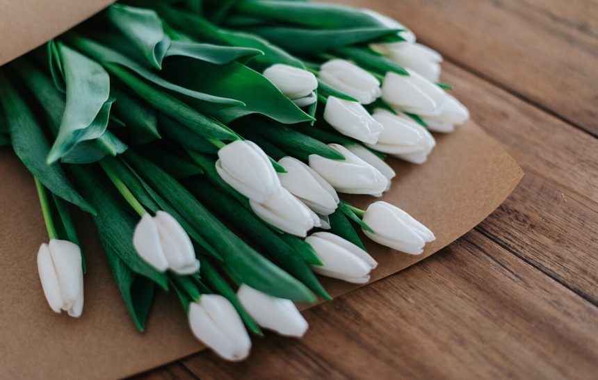 What Is the Meaning of White Tulips?