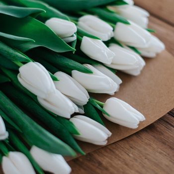 What Is the Meaning of White Tulips?
